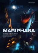 网站SEO流程优化全解从结构布局到外链建设